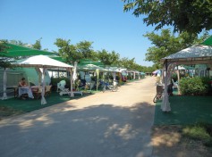DSC02548