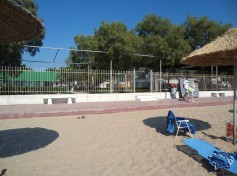 DSC02550