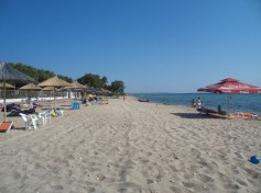 Strand_2